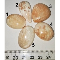 Skolit ( Scolecite ) Kabaşon