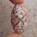 Leopar Derisi  Jasper Kabason