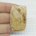 Peanut Wood (Fıstık Ağacı ) Fosil Kabaşon
