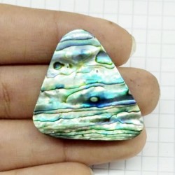 Abalone  Kabuk Kabaşon