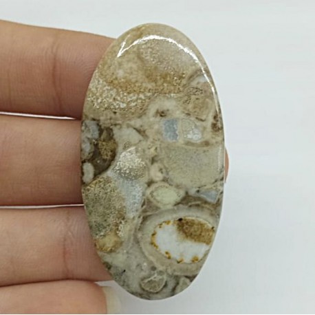 Polka Dot Agat (Akik)