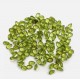 Peridot ( Zebercet ) Fasetli