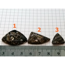 Turtella Kabaşon