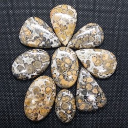 Leopar Skin Jasper Kabaşon