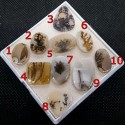 Dendritik Akik Kabaşon
