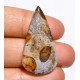 Okyanus Jasper Kabason